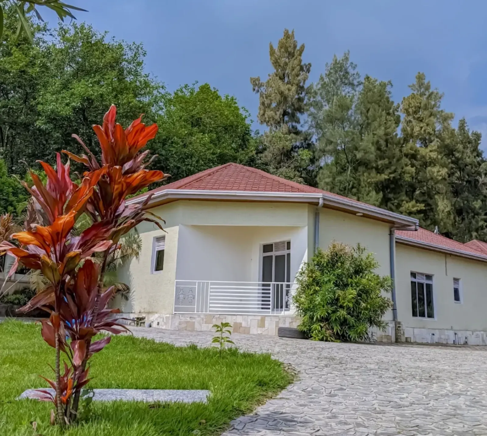 The single-storey wing, lawn and drive
