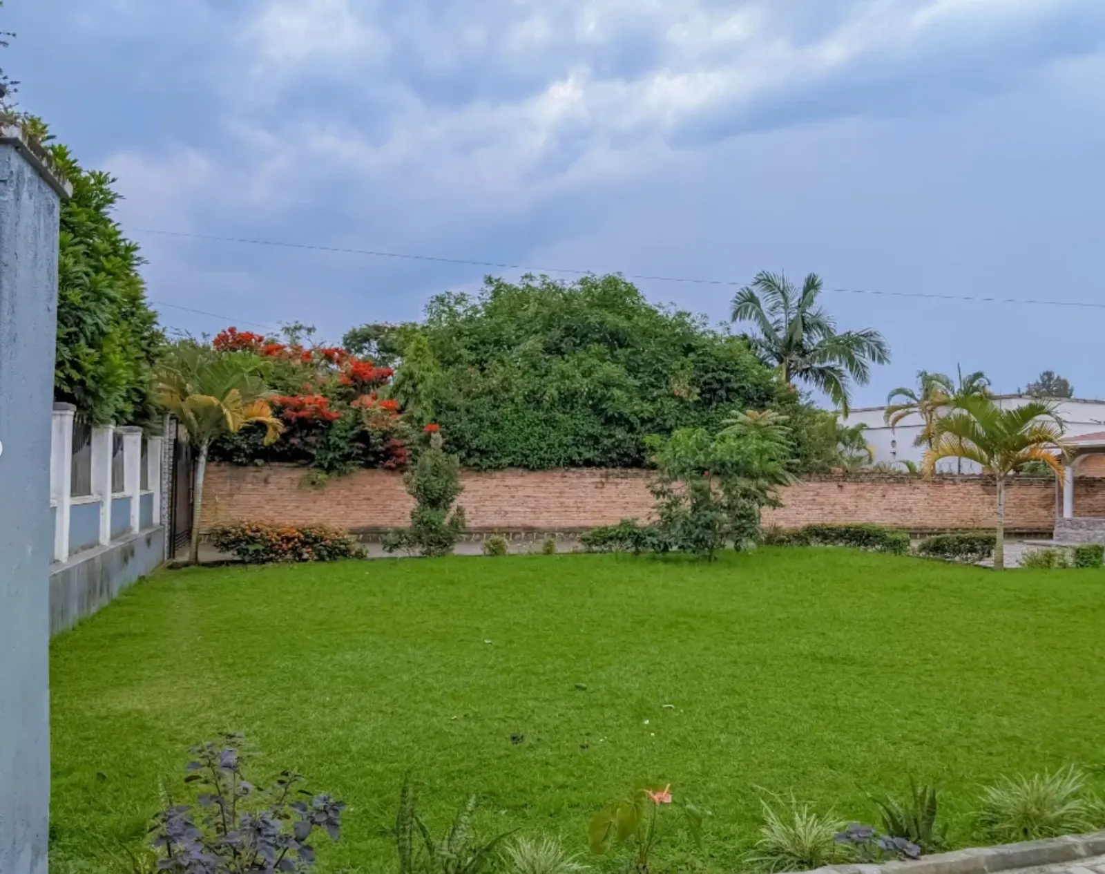 The lawn, walled and planted